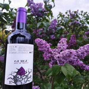 GURGU JOVE DE TRELLAT